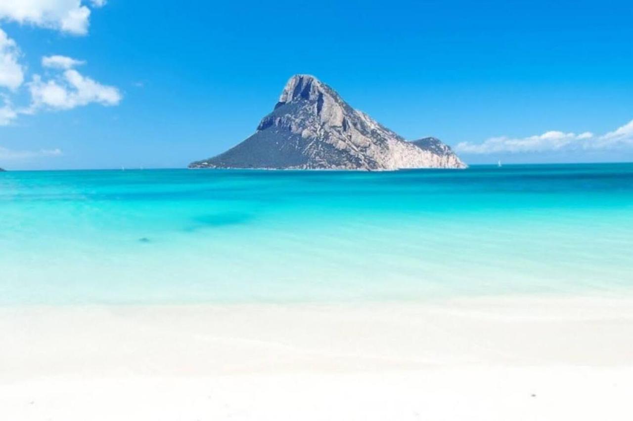 Ulivella Casa vacanze